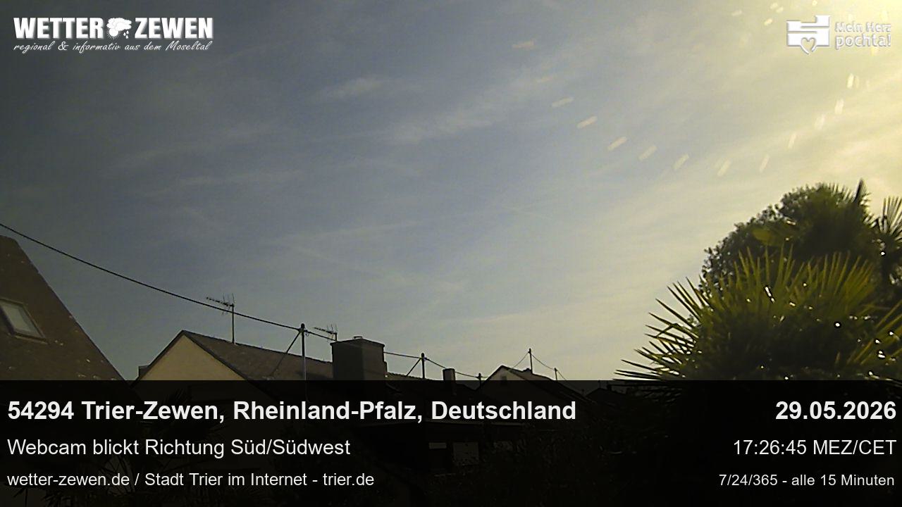 Bild