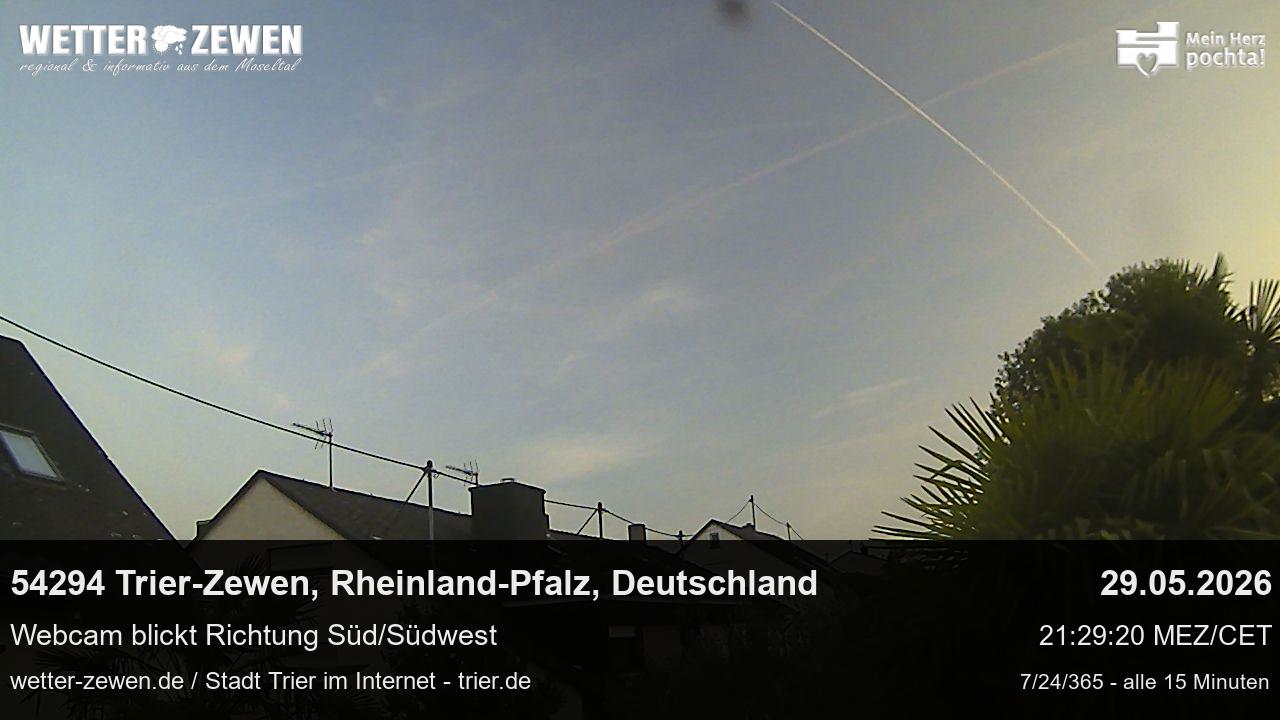 Bild