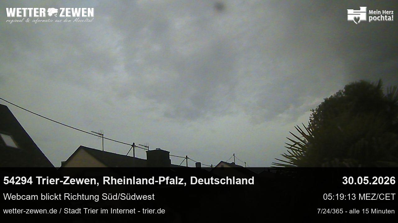 Bild