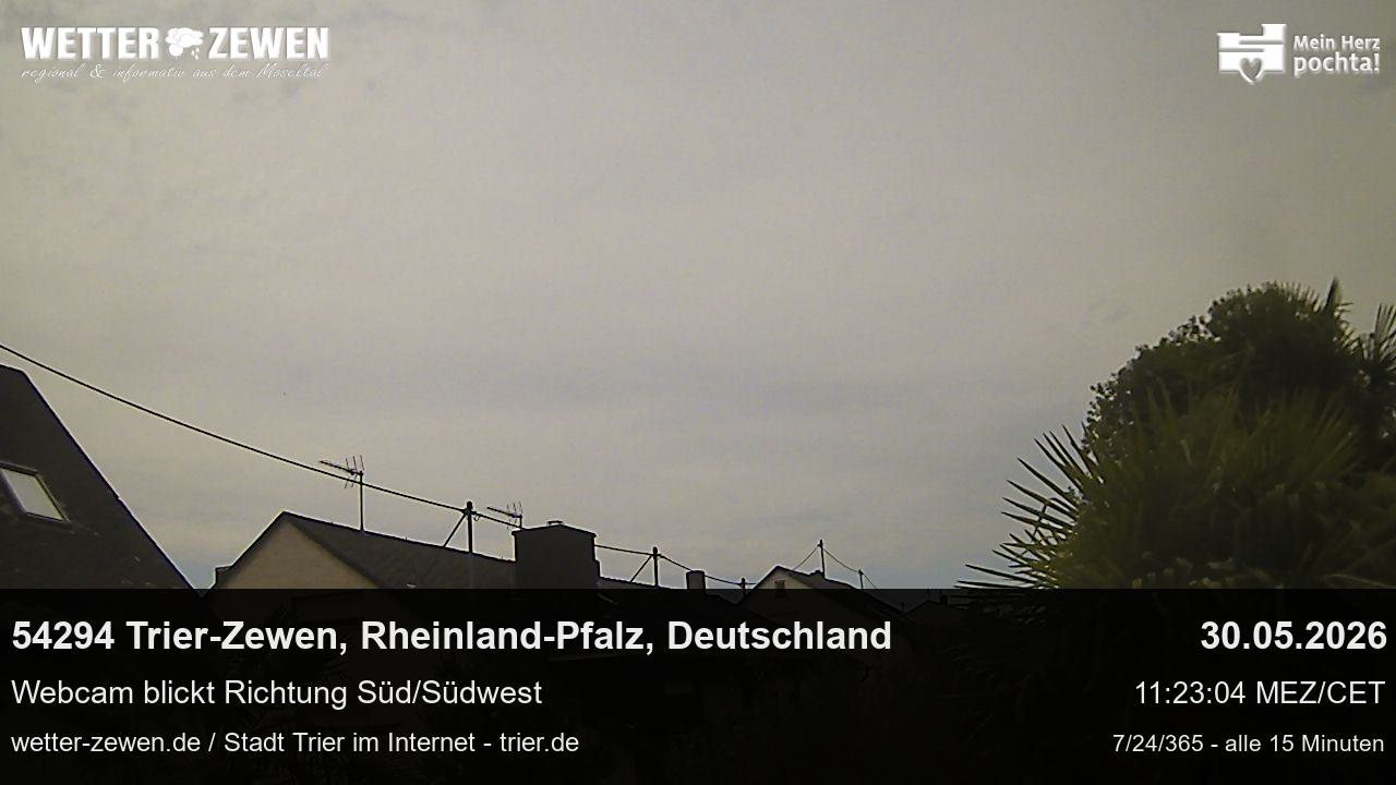 Bild