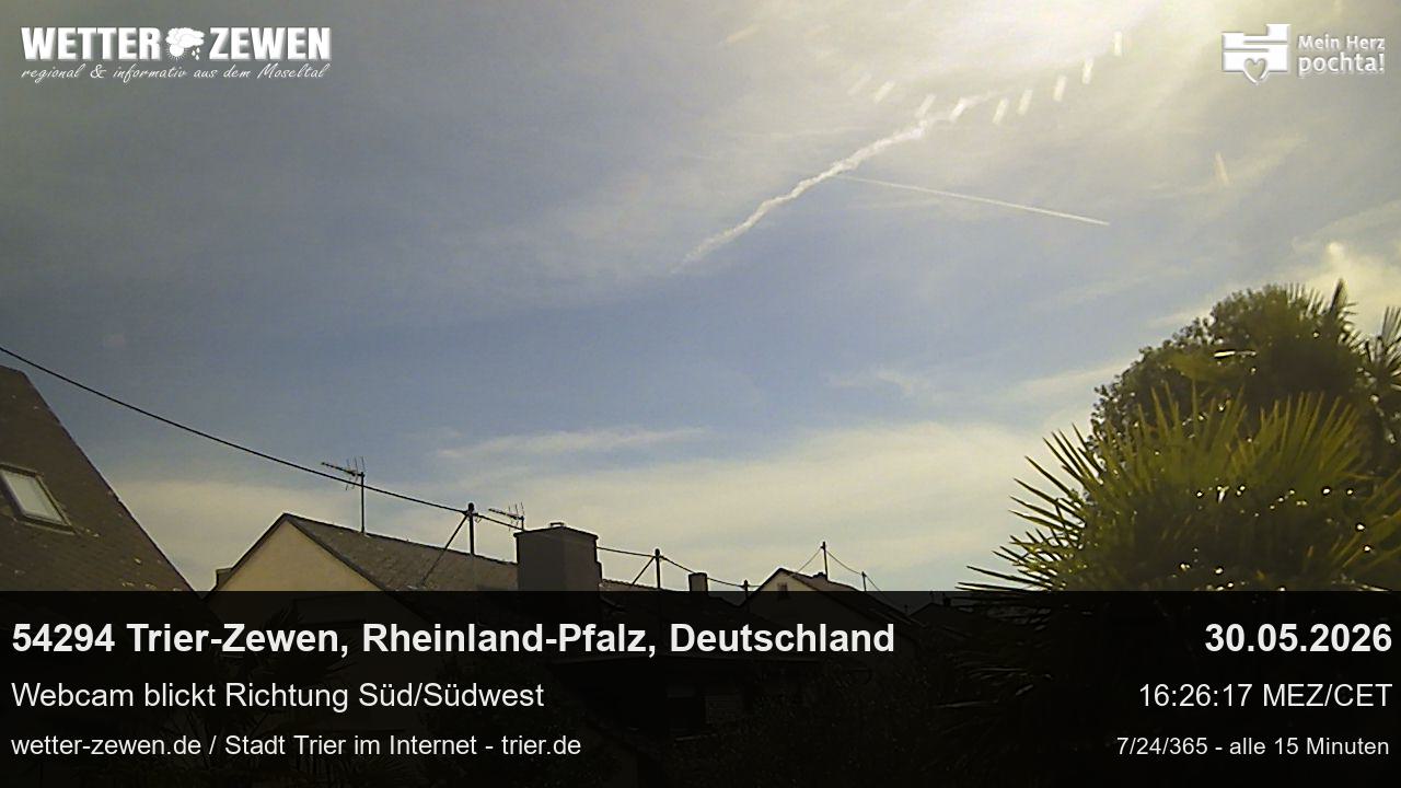 Bild