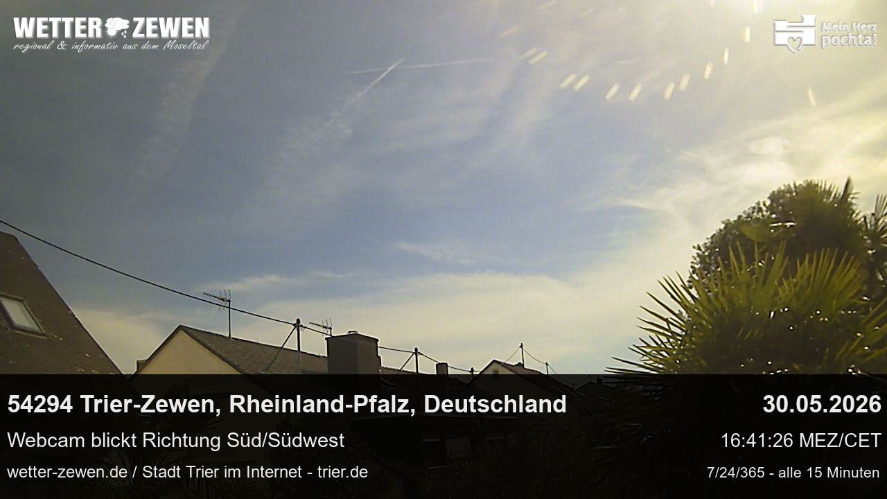 Bild