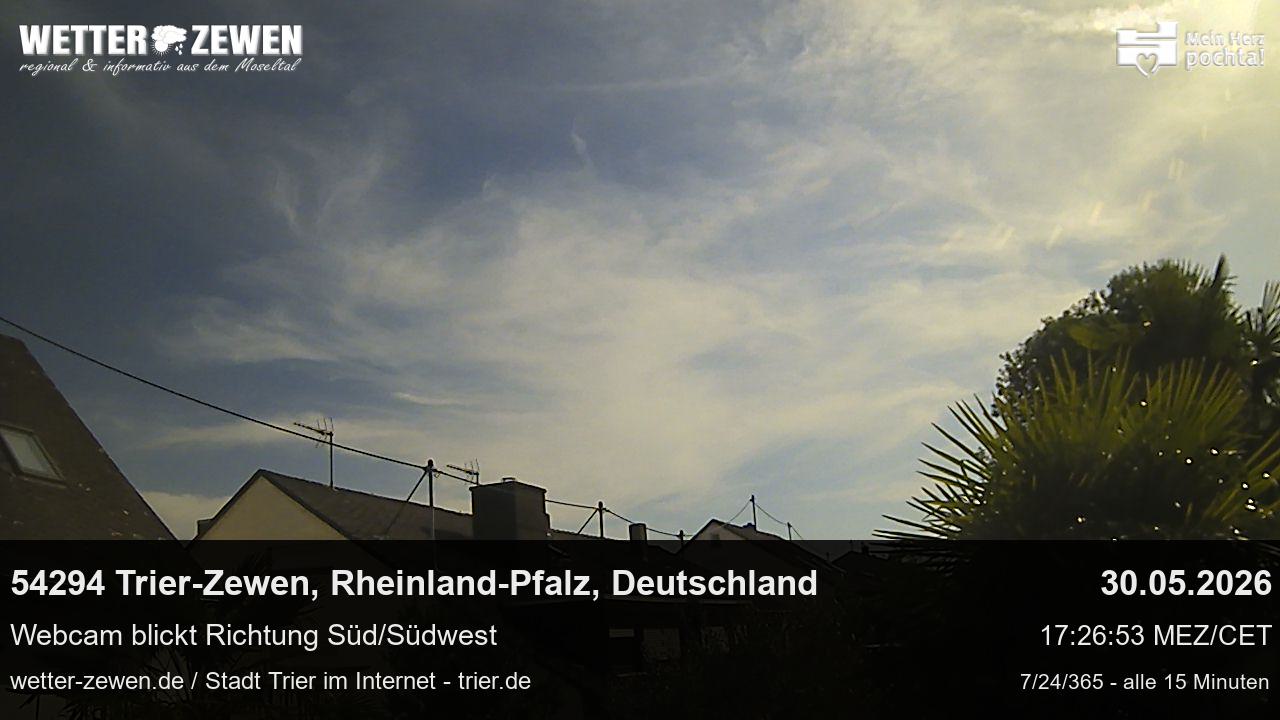 Bild