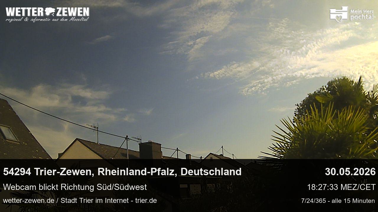 Bild