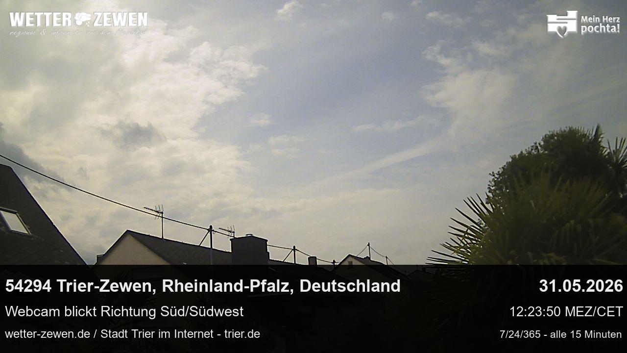 Bild