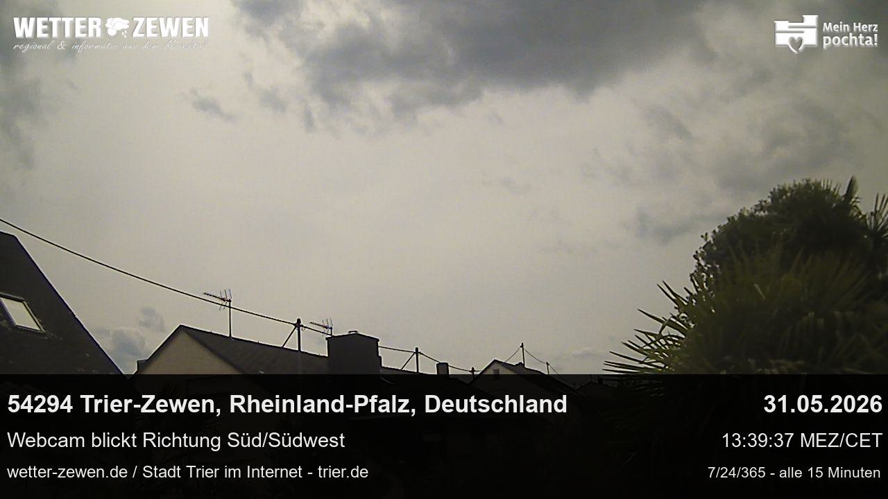 Bild