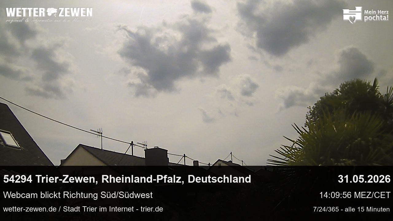 Bild