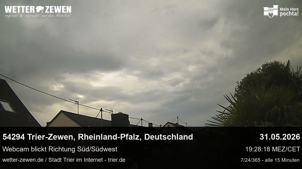 Bild