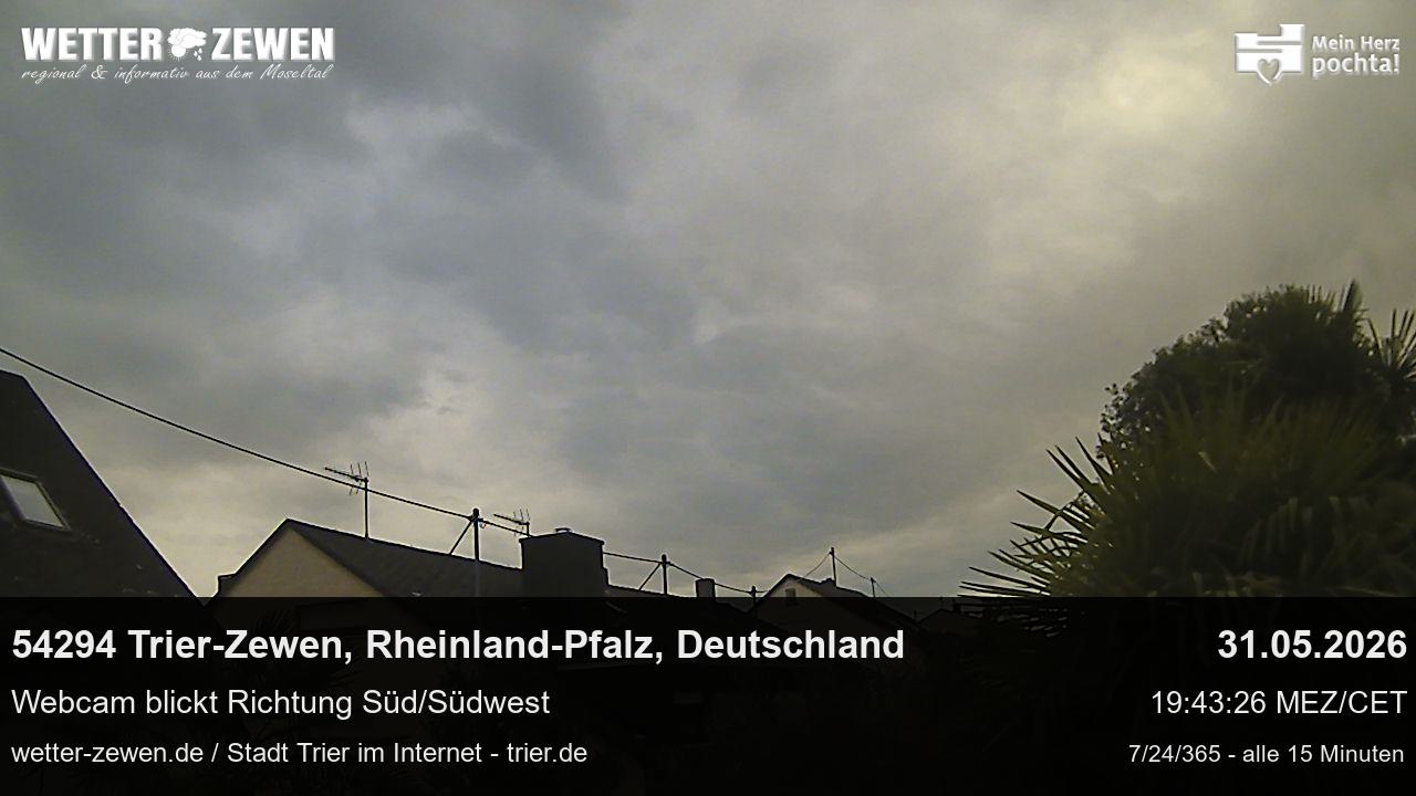Bild