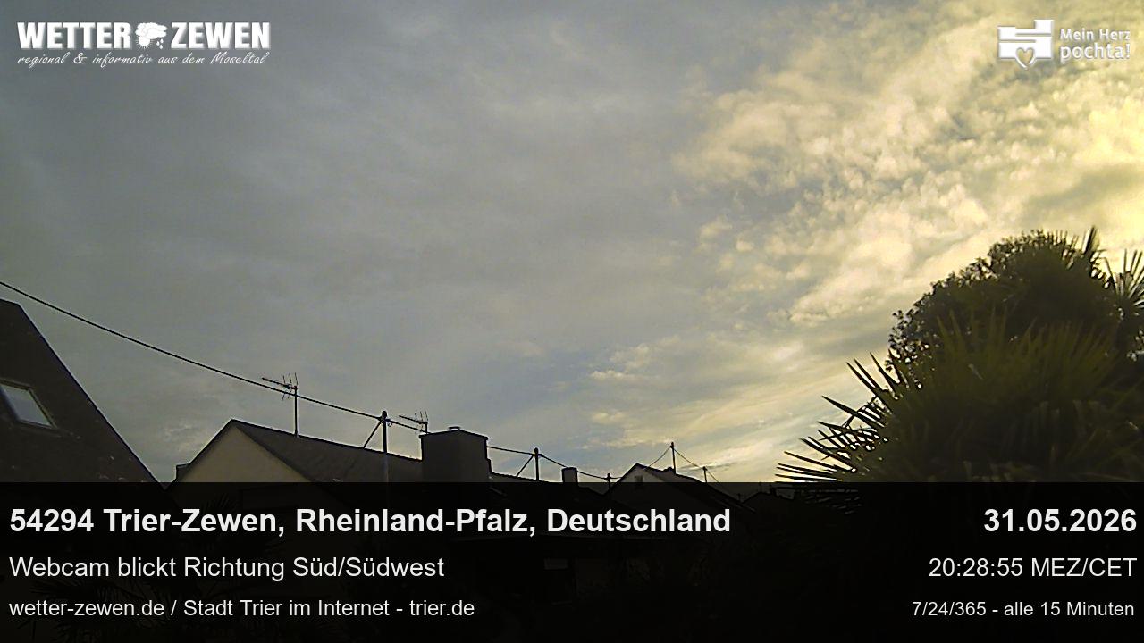 Bild