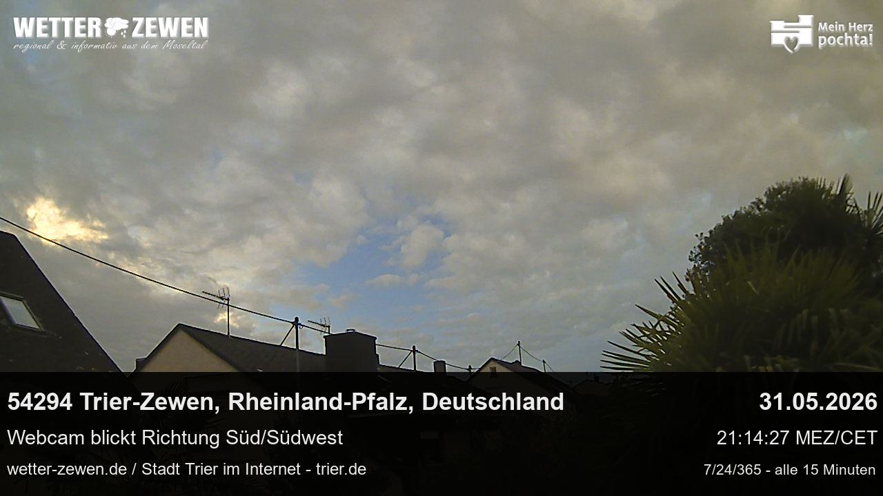 Bild