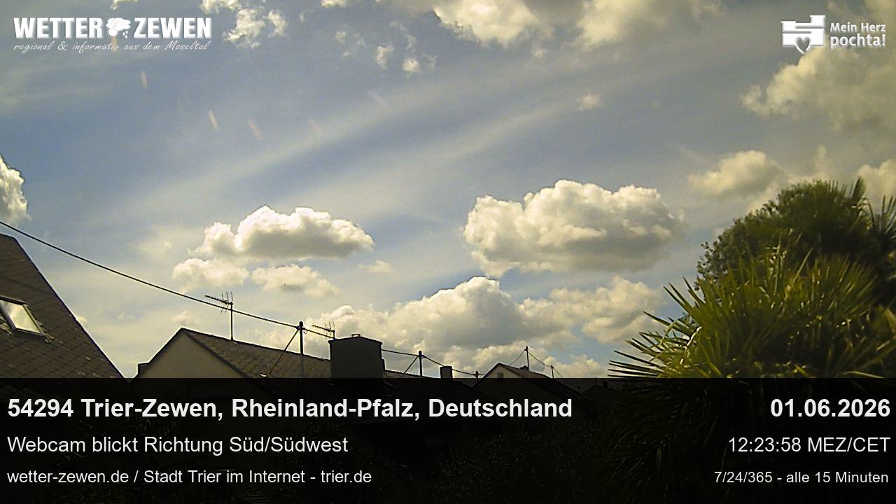 Bild