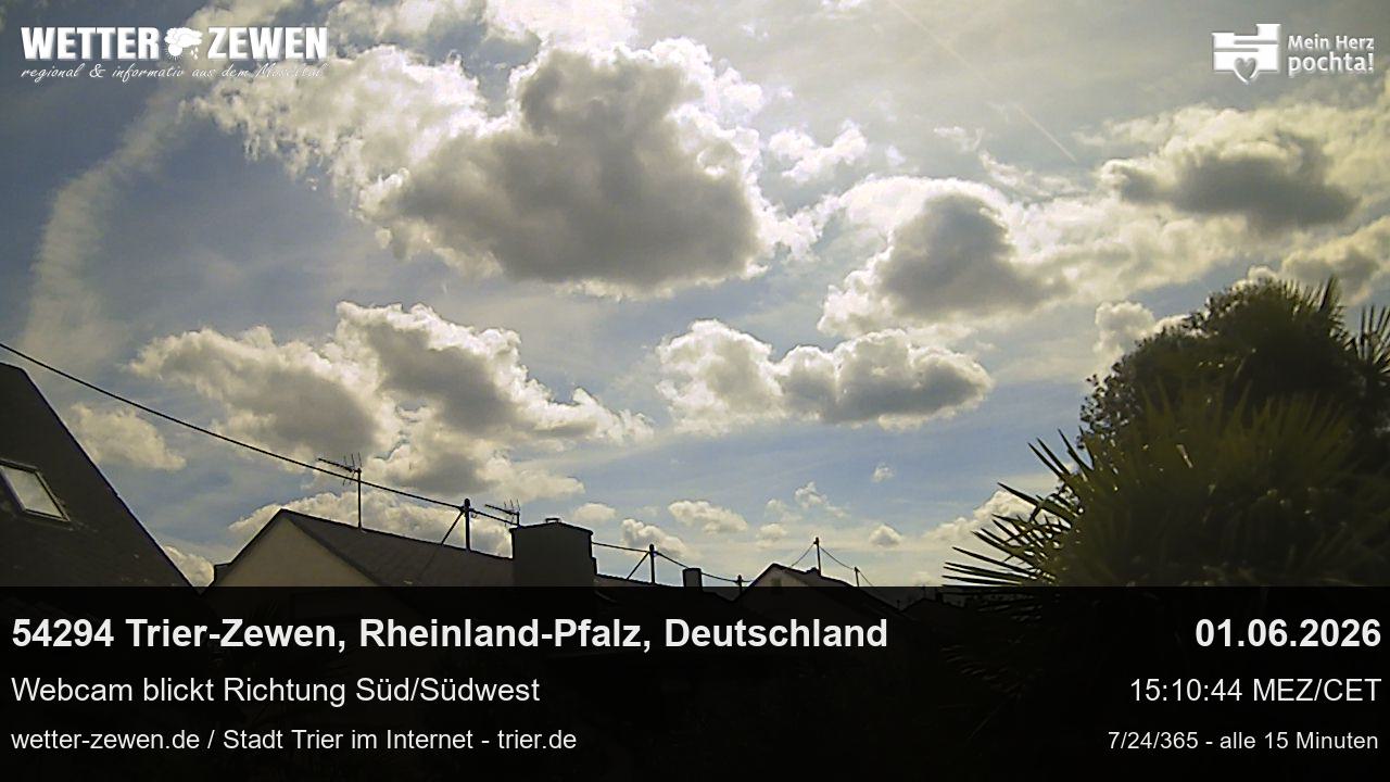 Bild