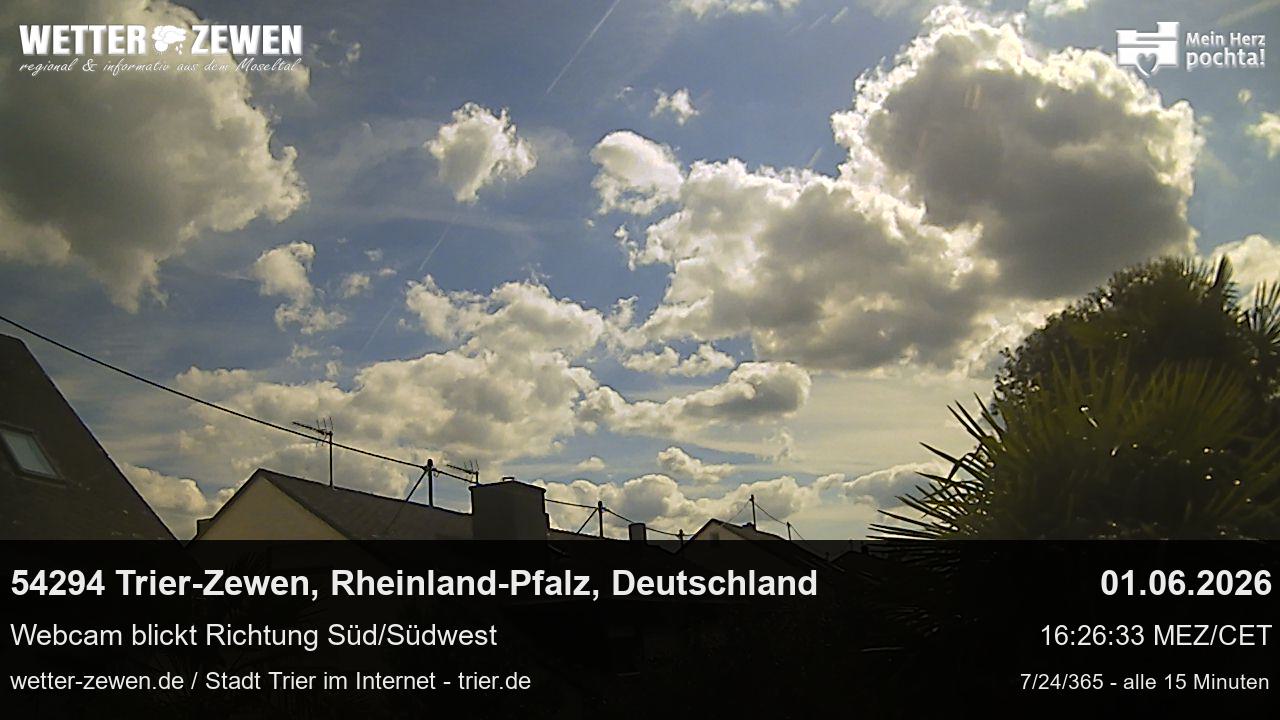 Bild