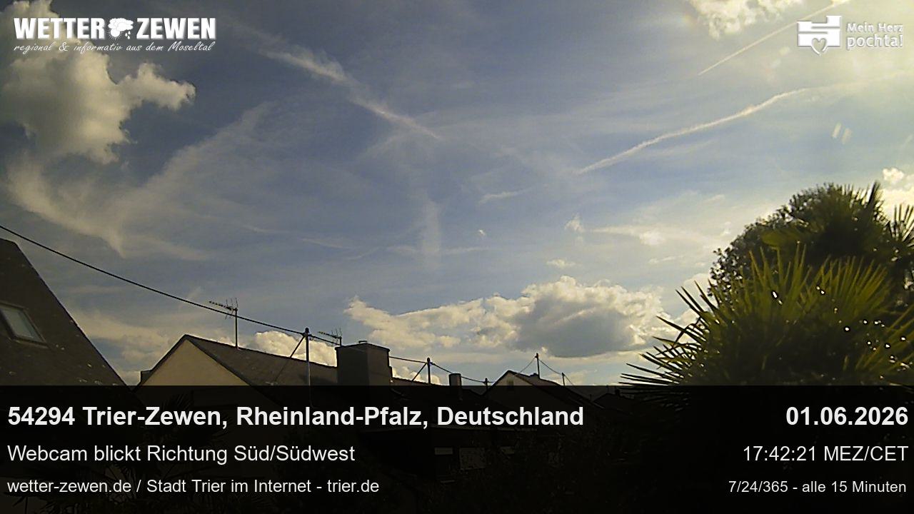 Bild