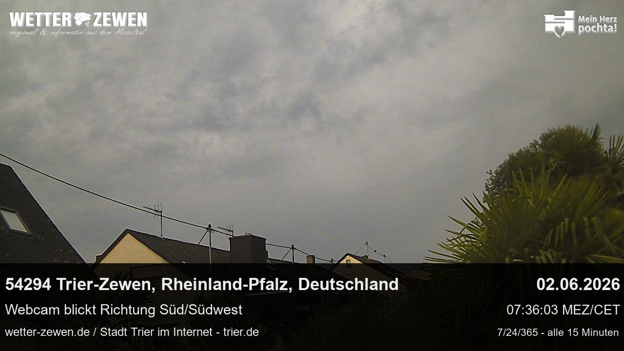 Bild