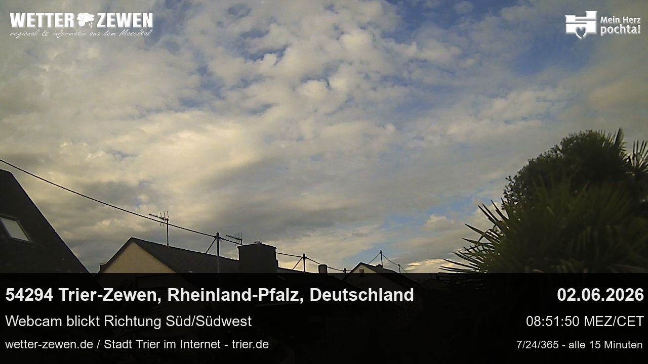 Bild