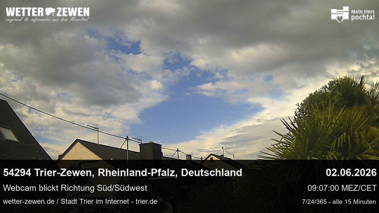 Bild