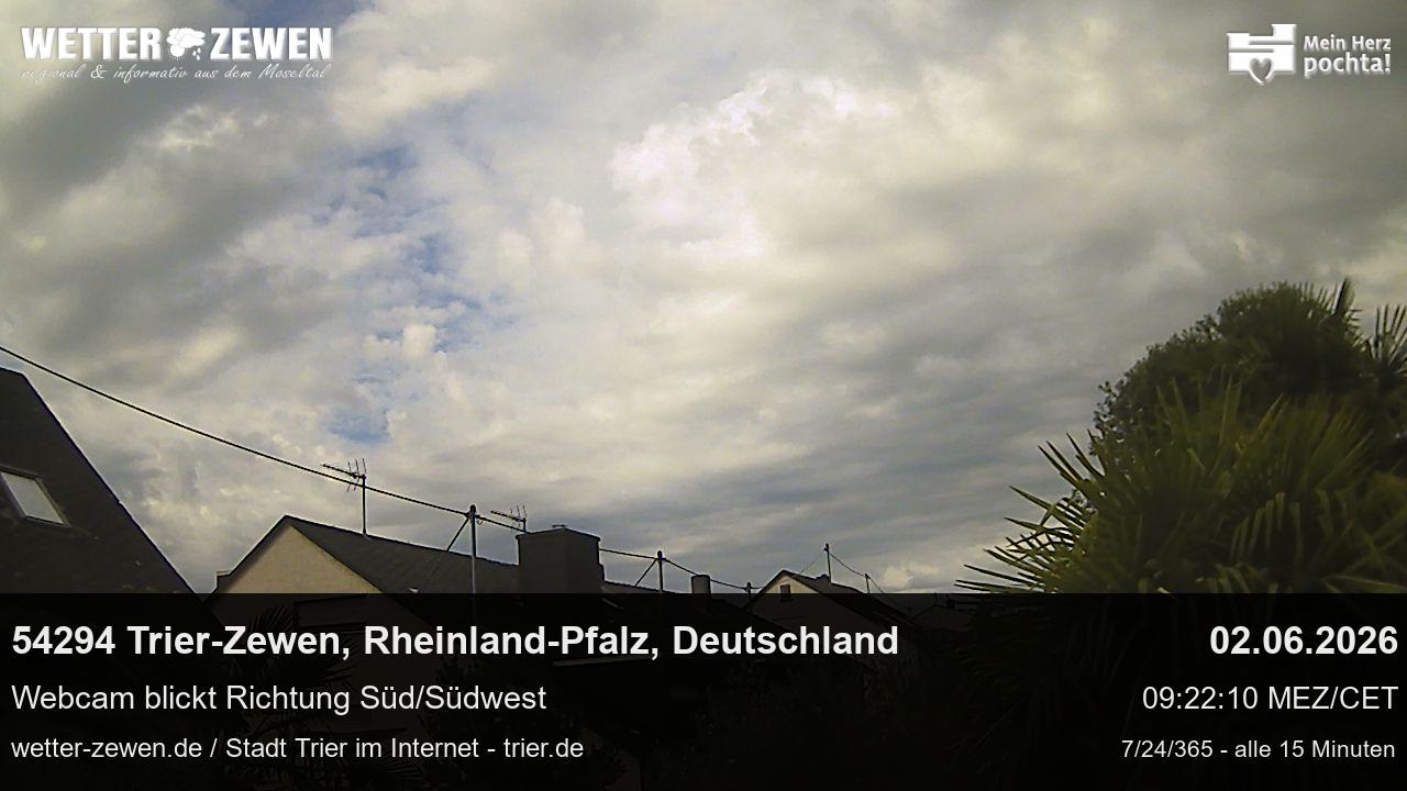 Bild