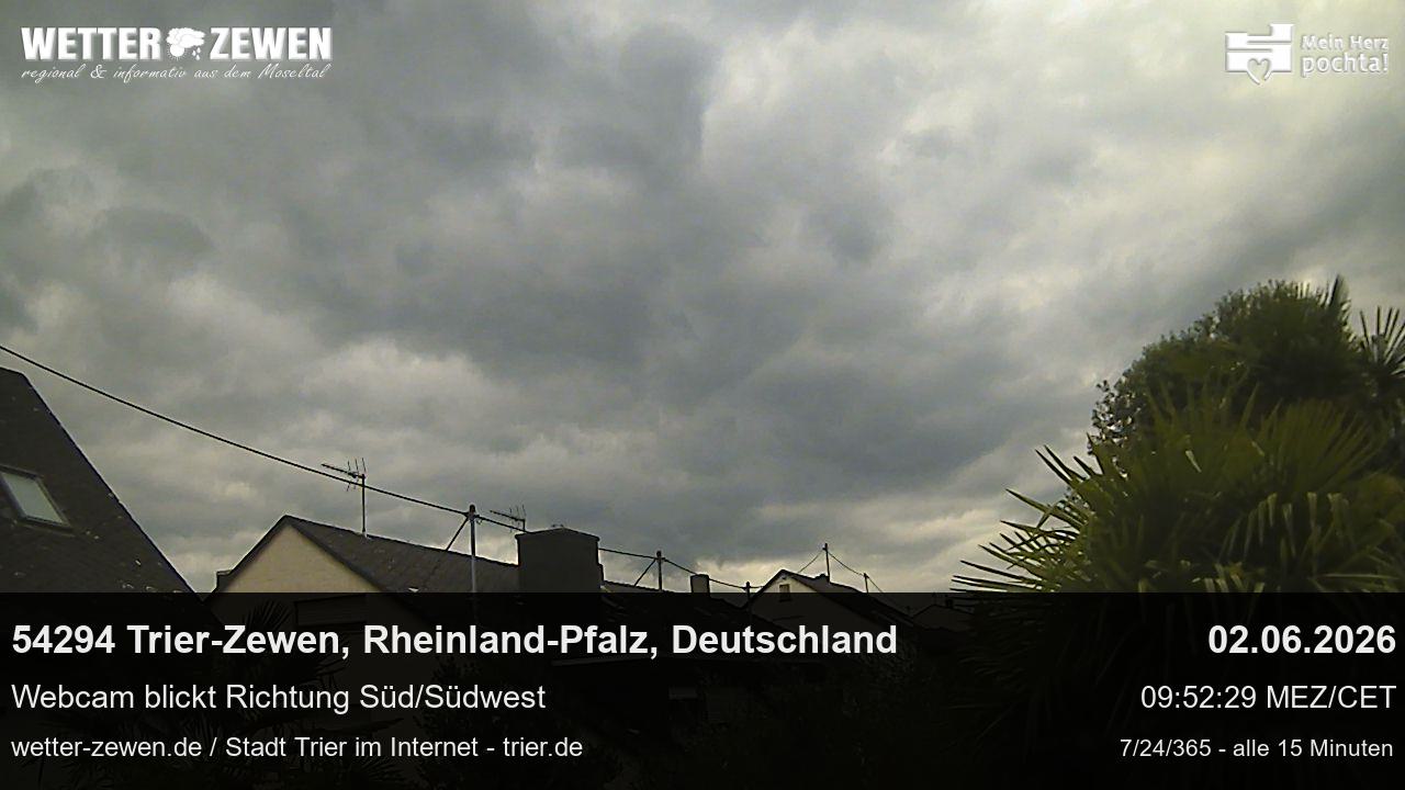Bild