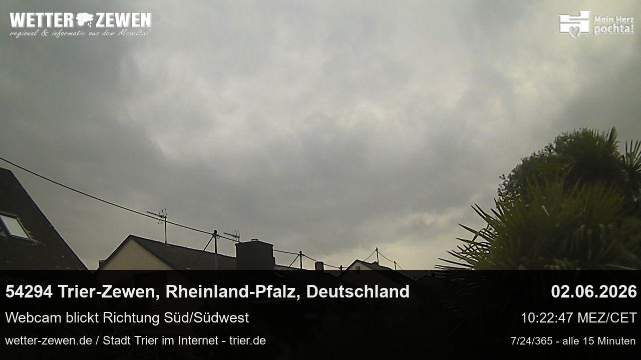 Bild