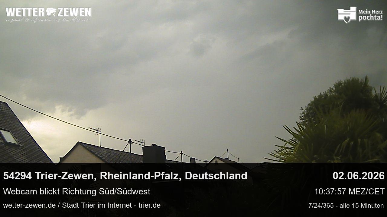 Bild