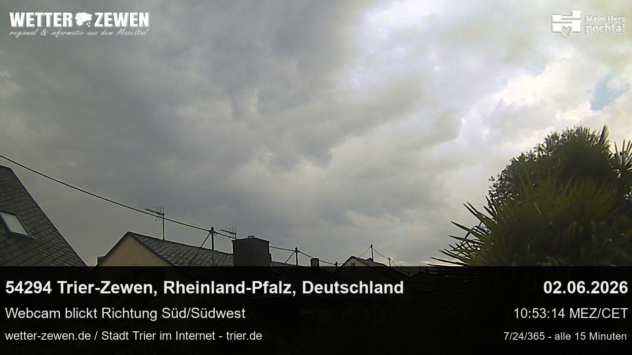 Bild