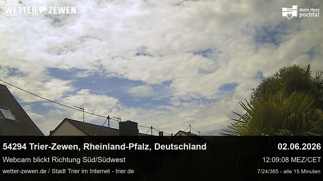 Bild