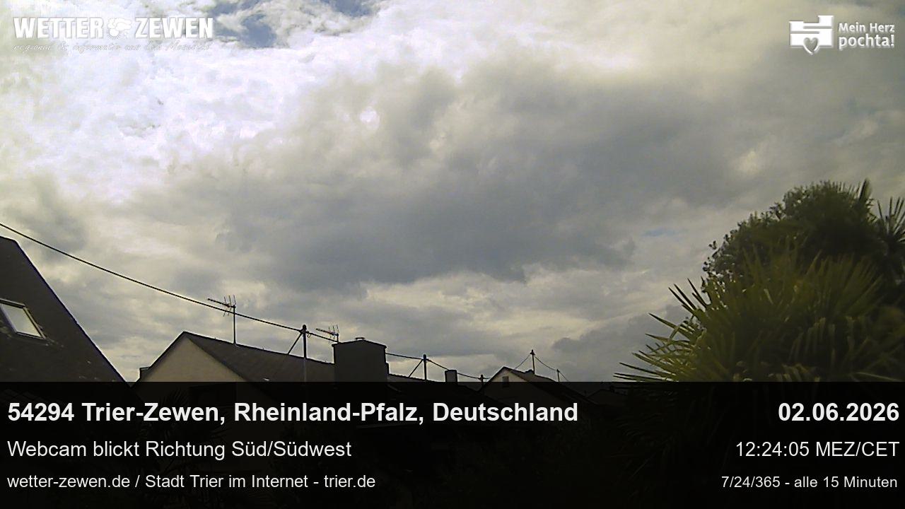 Bild