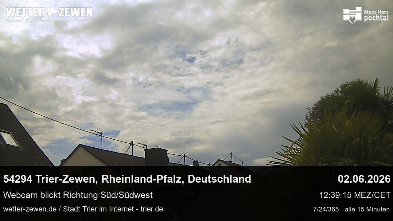 Bild