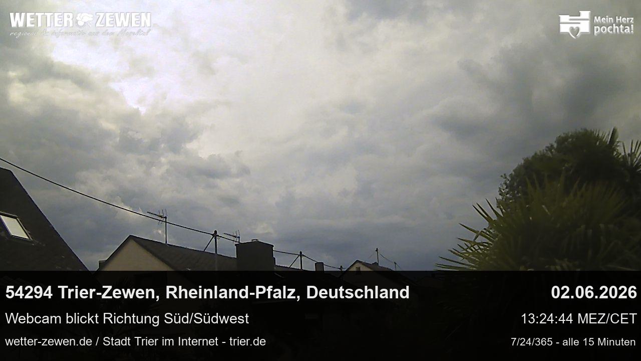 Bild