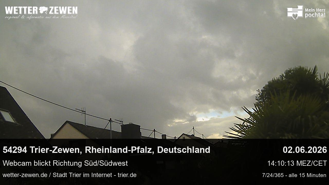 Bild