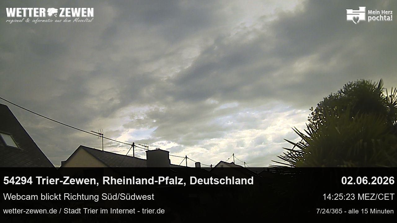 Bild