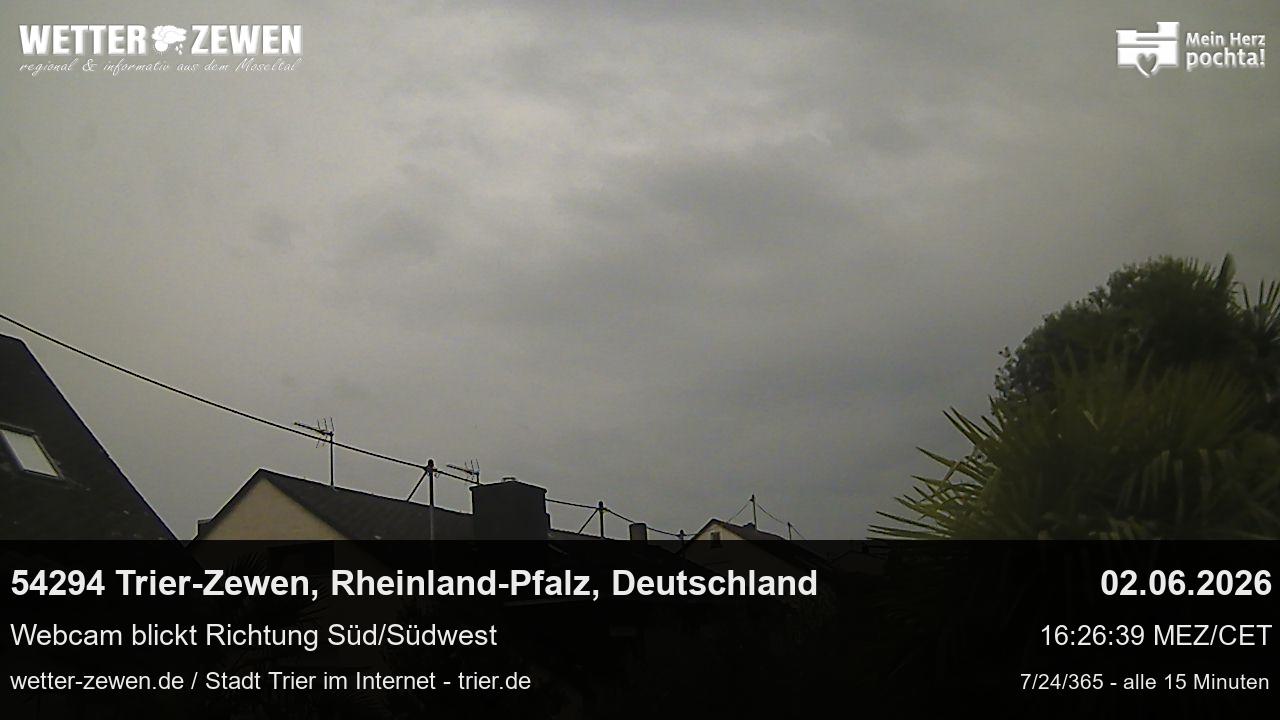 Bild