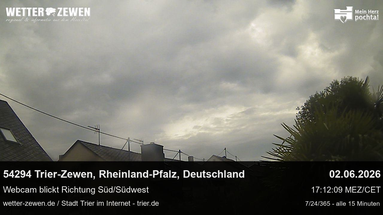 Bild