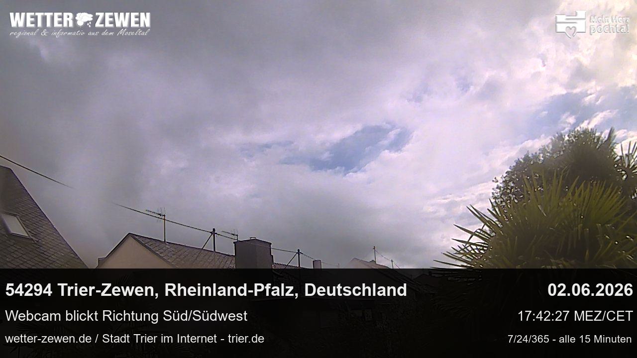Bild