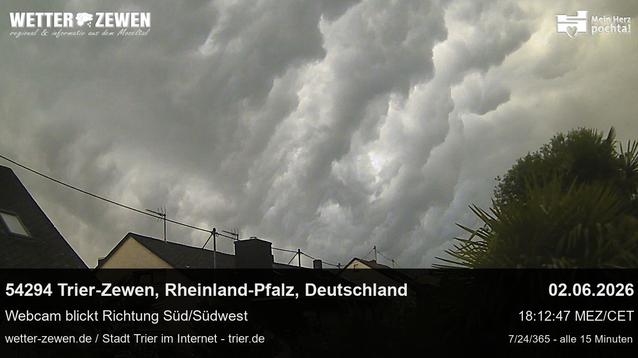 Bild