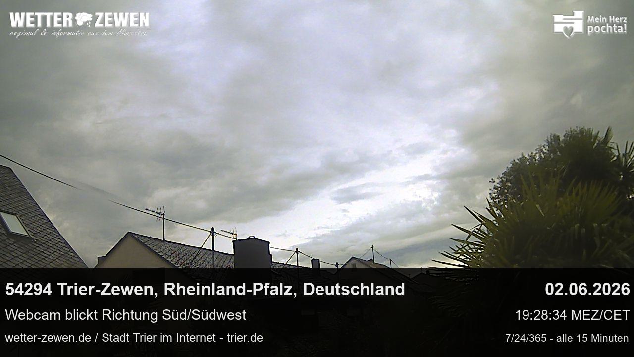 Bild