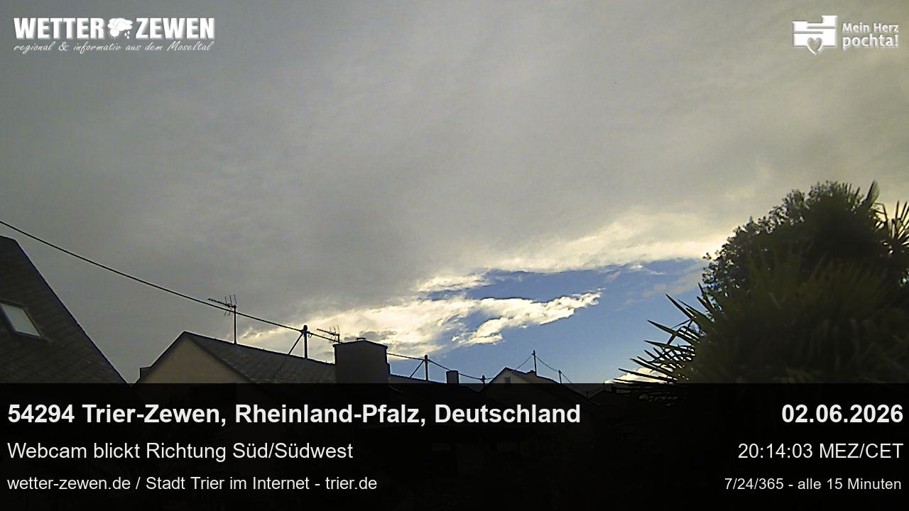 Bild