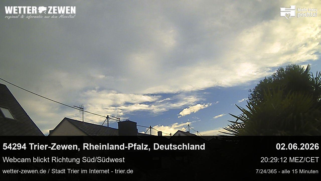 Bild
