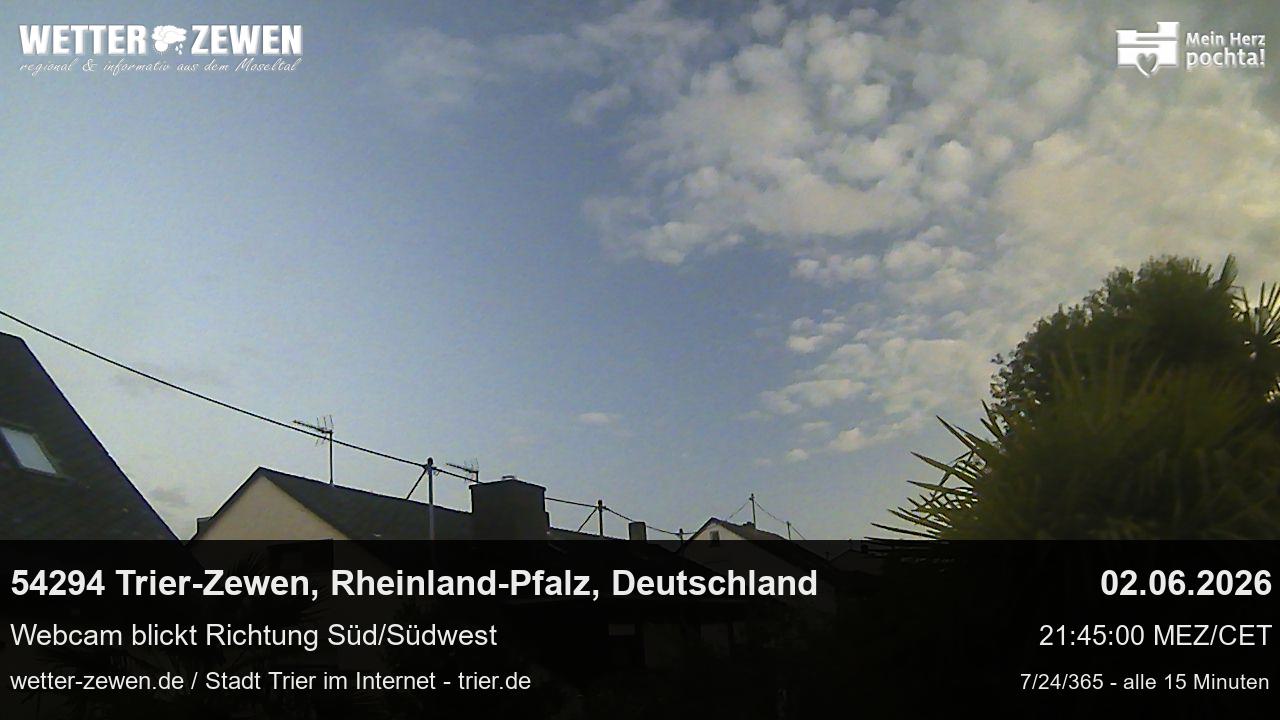 Bild