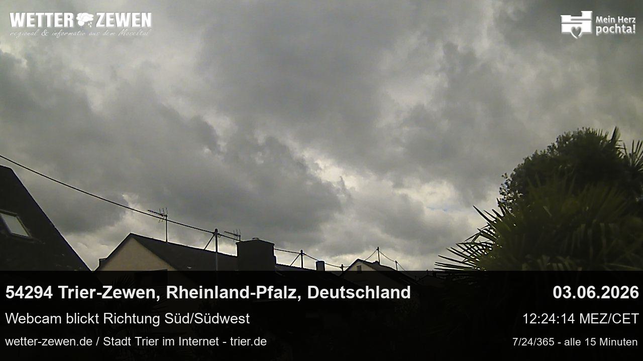 Bild