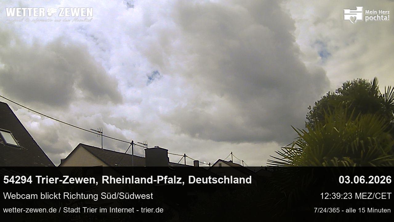 Bild