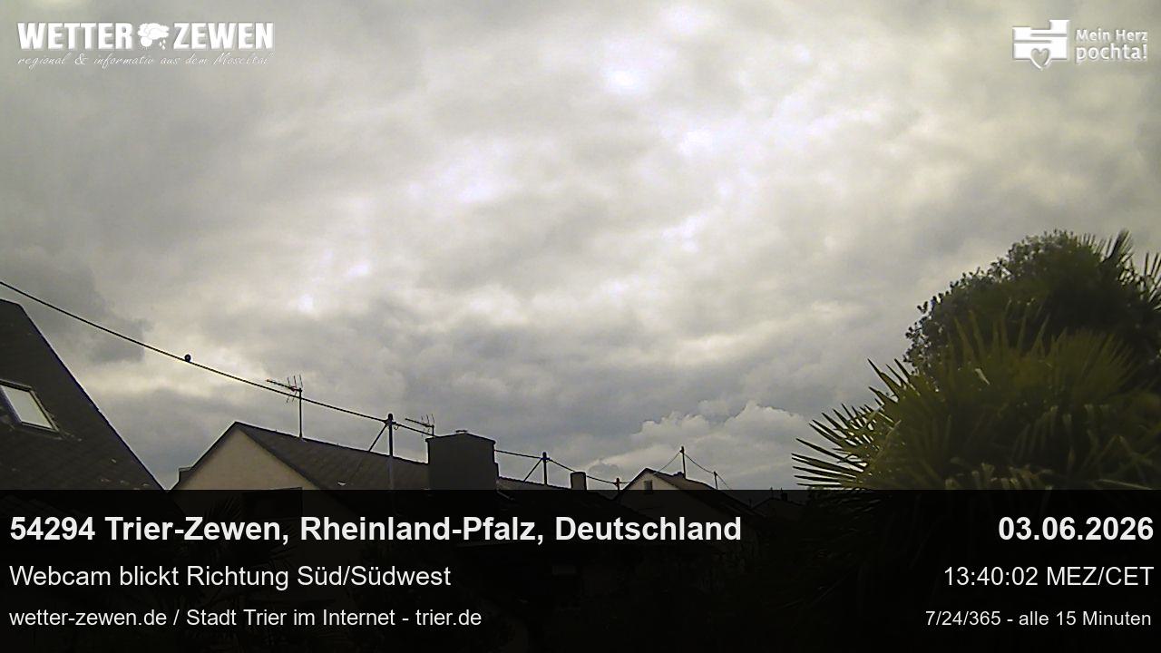Bild