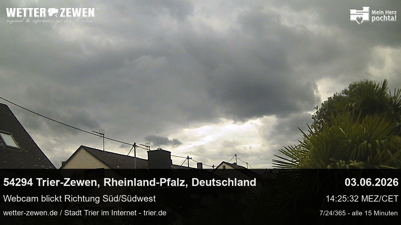 Bild