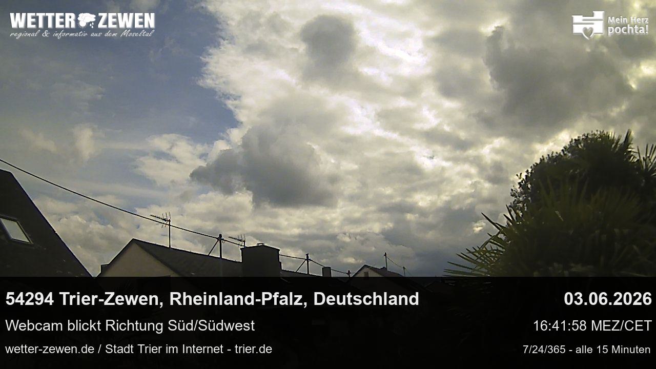 Bild