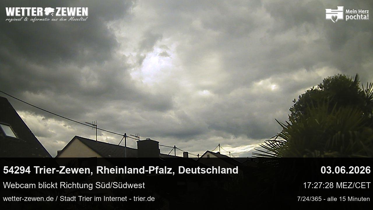 Bild