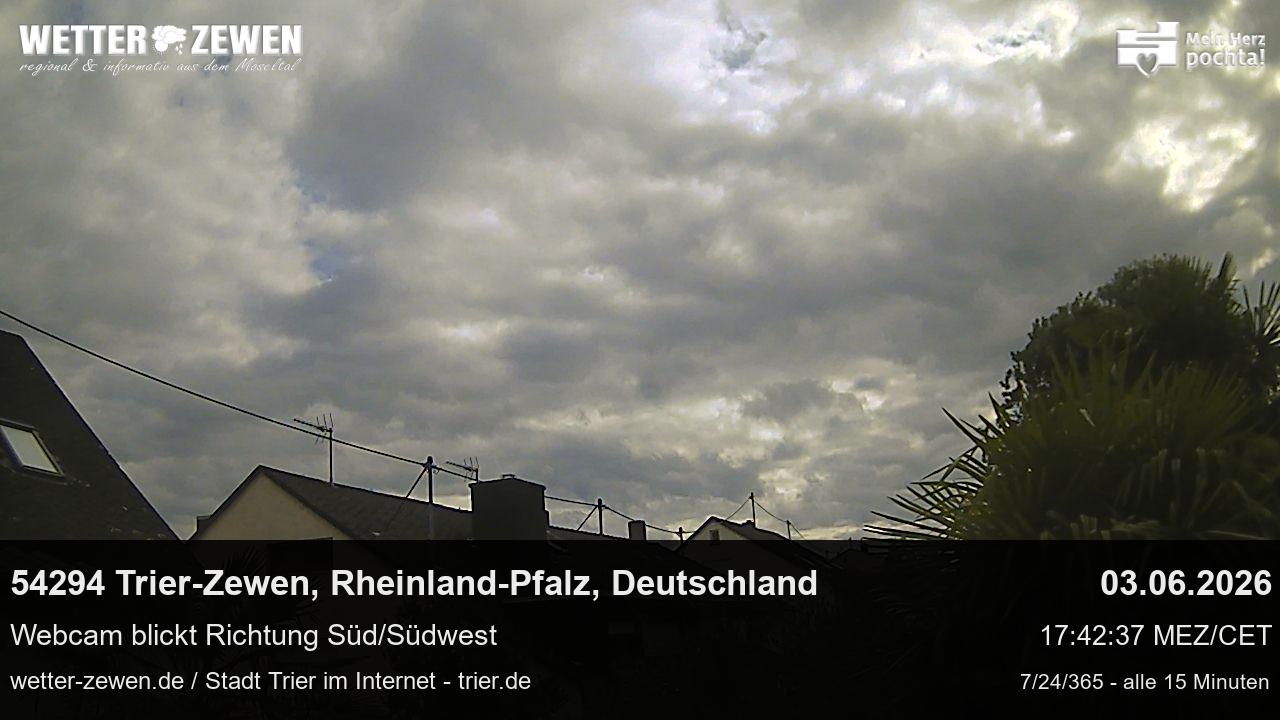 Bild