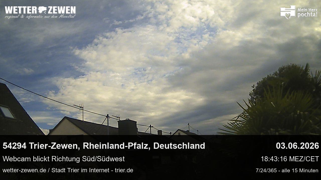 Bild