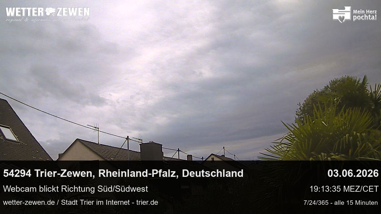 Bild
